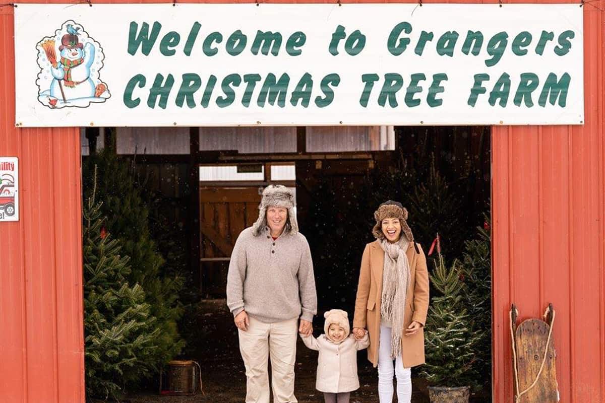 Granger's Tree Farm