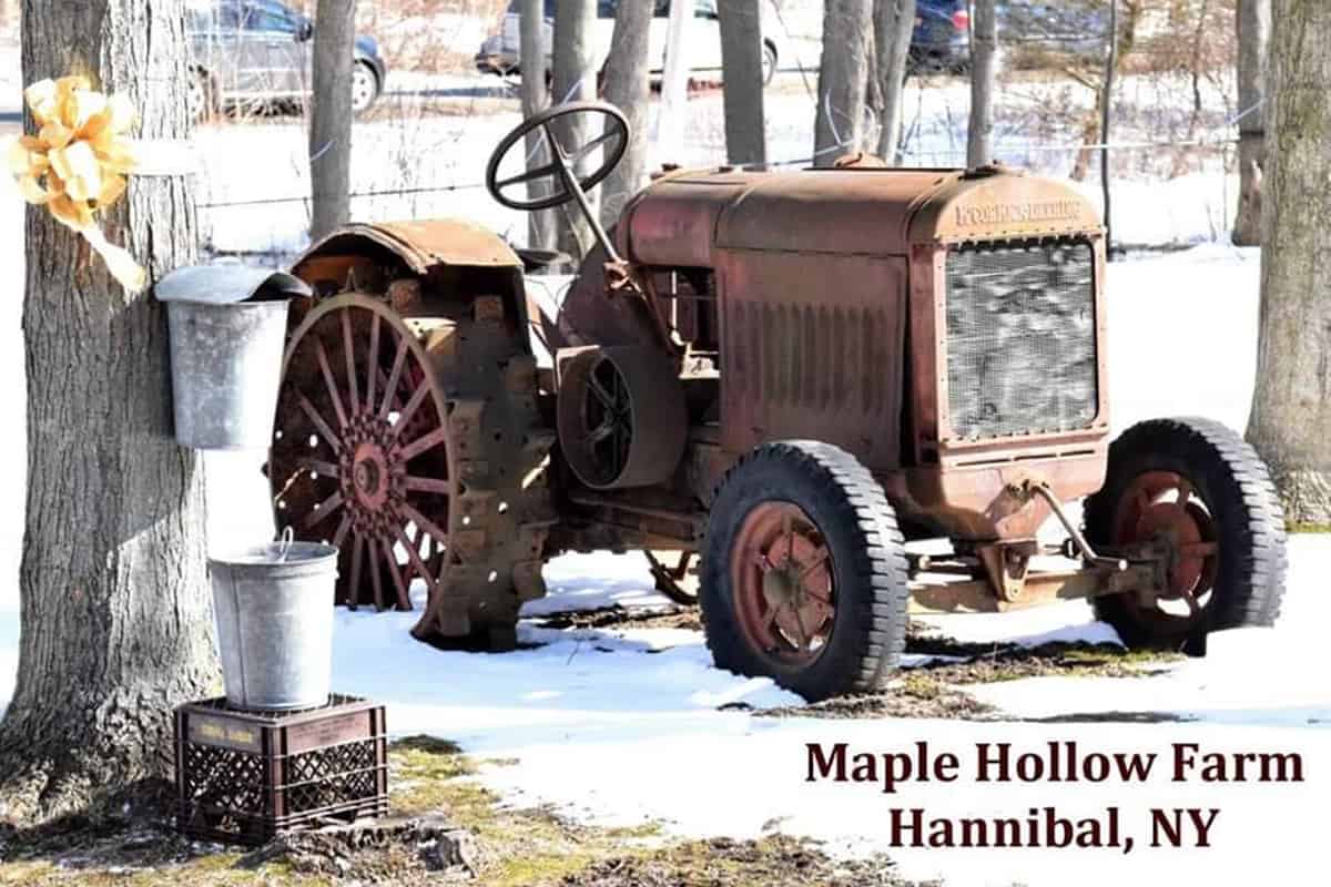 Ferme Maple Hollow