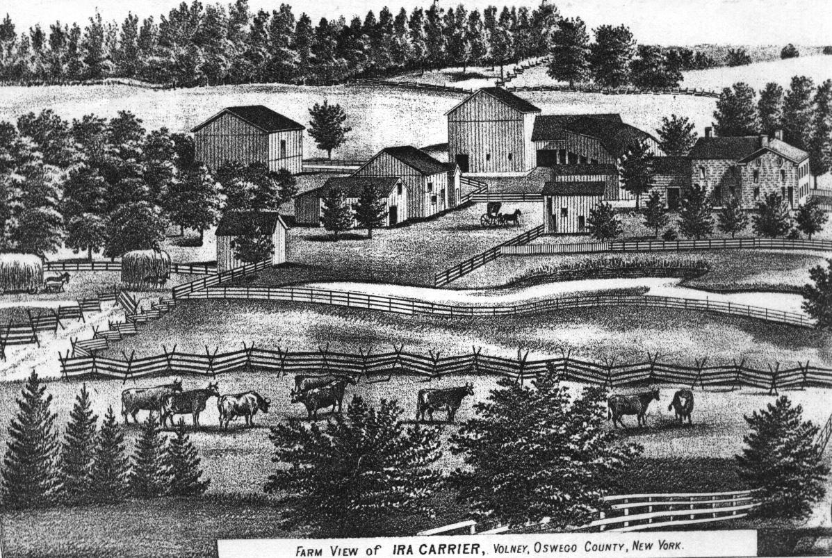 Volney Historian - Robert Coant