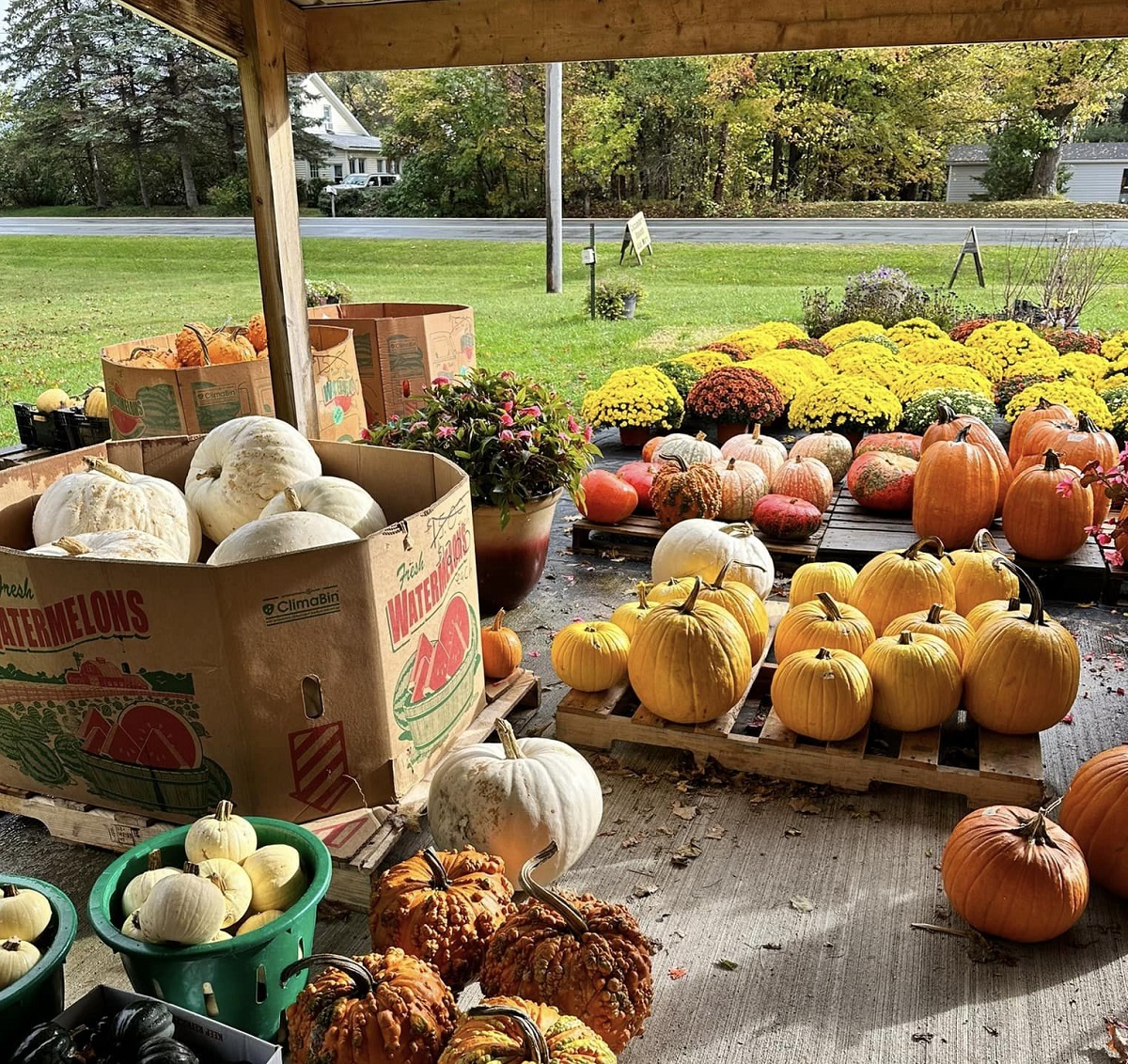 Fowler's Gewächshäuser & Bauernmarkt