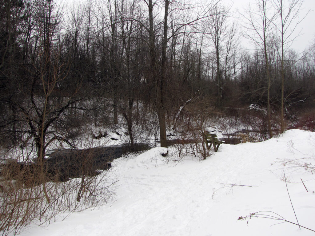 rice creek during winter