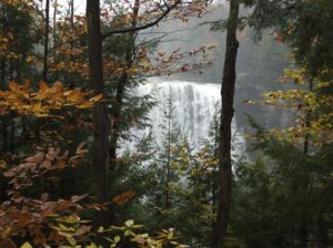 Herbstlaub mit den Salmon River Falls im Hintergrund
